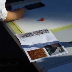 IMG_5777
